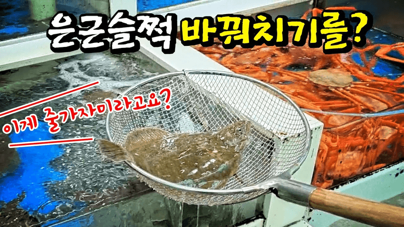 Seafood Feast at Sokcho Daepo Port